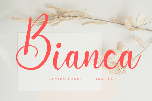 Choosing Bianca: A Font That Elevates Every Editorial Moment