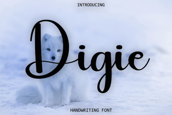 Digie: A Designer’s Take on Real-World Use