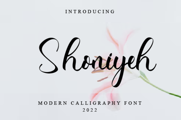 How Choosing the Right Font Transformed My Small Business Branding