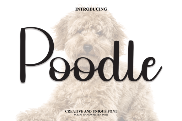 Poodle Font: A Sweet Script for Professional Branding