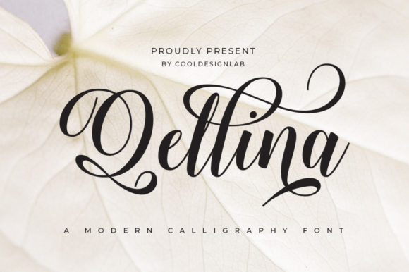 Qellina: A Chic Script Font for Elegant Web Design